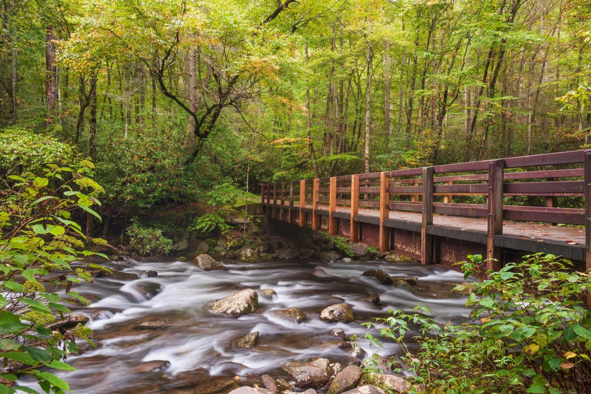 Вілла Three Bears Den, Hot Tub, Pool Table, Pool Access, 1089 Free Tickets Each Paid Day, Dollywood Inclu Гатлінбург Екстер'єр фото